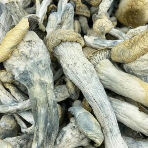 Yetti Mushrooms Natural, High-Quality Mushrooms for Mind & Body