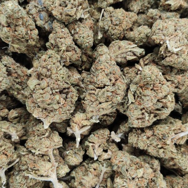 Buy Dare Devil - AAA Weed Strain