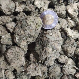 Buy Lemon Drop (AAA) Weed Strain