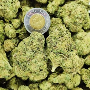 Buy Gelato (AAA) Hybrid Flower Online in Ontario