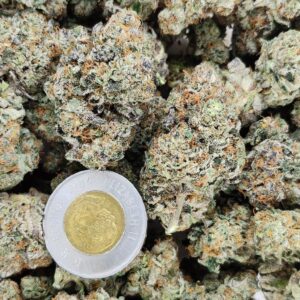 Buy Power Sherb (Gassy+Dry Flower) - Staff Picks Ontario