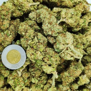 Order MAC Daddy (Gassy) AAA strain for a premium, potent experience. Enjoy fast, same-day delivery in Ontario. Quality cannabis on demand – buy now