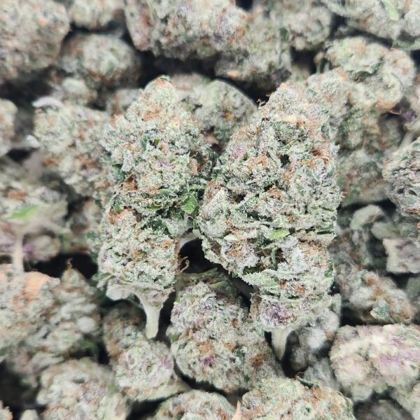 FRUIT LOOPS - STAFF PICKS