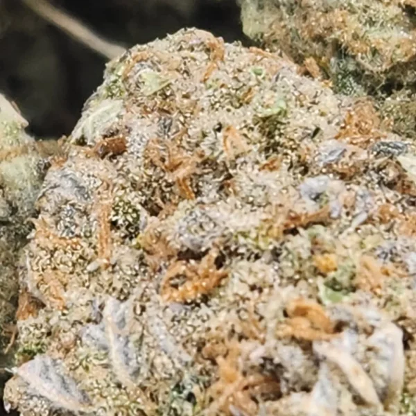 PINK GELATO - AAA+ Flower - Image 2