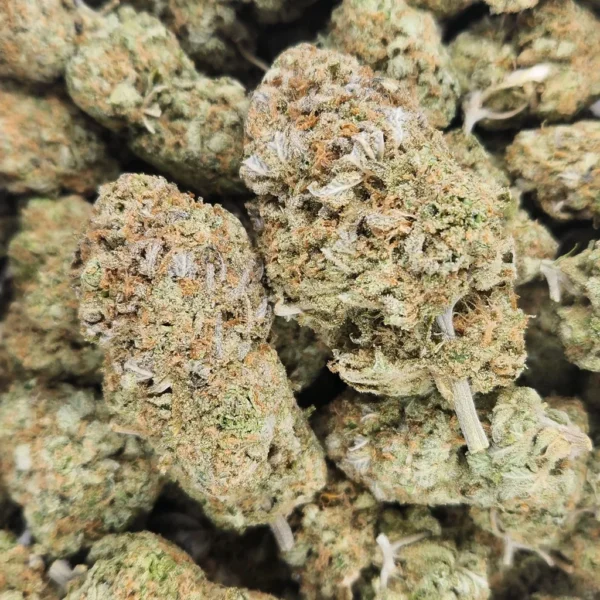 PINK GELATO - AAA+ Flower