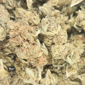 CHERNOBYL - AA+ - Flower