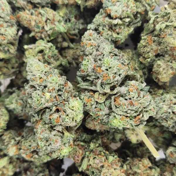 PINK DRINK - STAFF PICKS - FLOWER