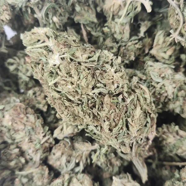 CANNATONIC - AA