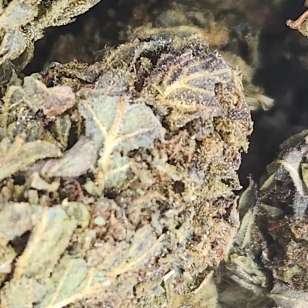 GREEN CRACK - AA+ - Flower - Image 2