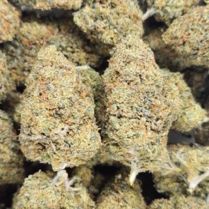 FRUIT CAKE - AAA - Flower