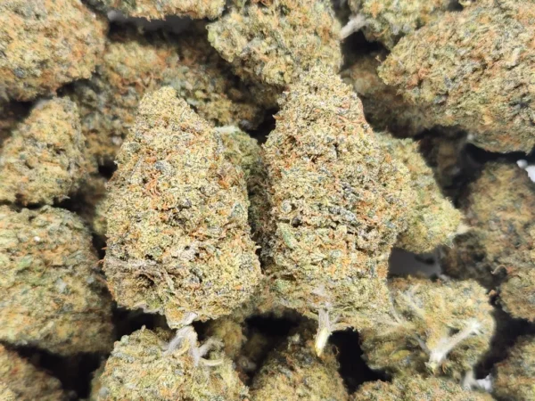 FRUIT CAKE - AAA - Flower