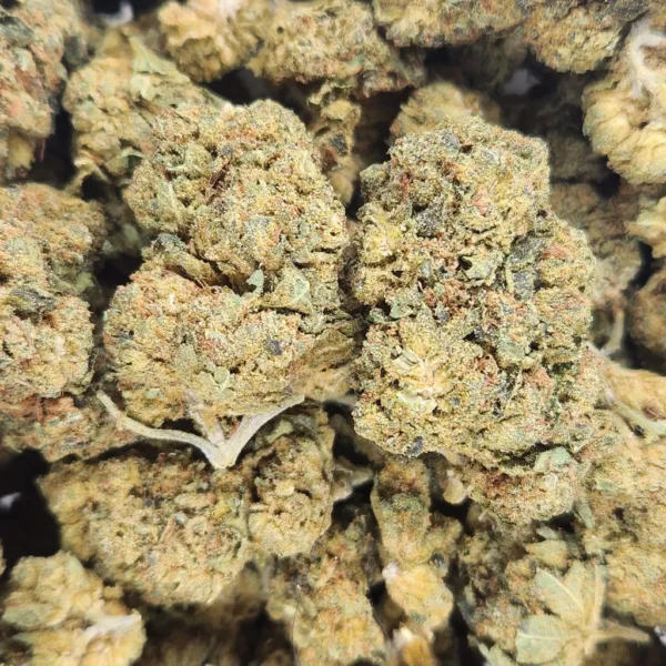 BLUE CHEESE - AAA - Flower