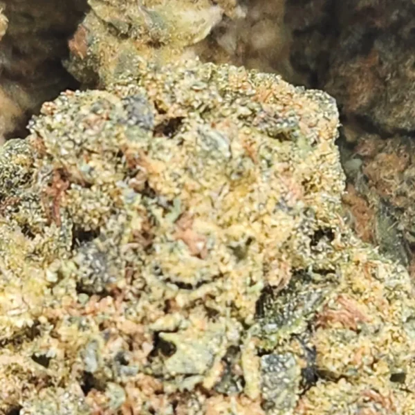 BLUE CHEESE - AAA - Flower - Image 2