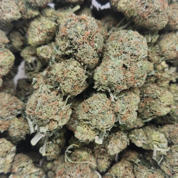 PINK PANTIES - STAFF PICKS - Flower