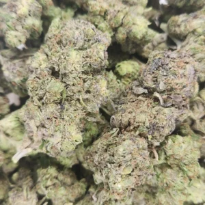 DARTH VADER - STAFF PICKS - Flower