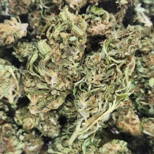 G13 - AA - Flower