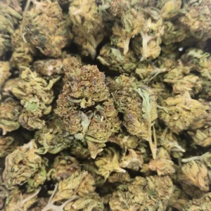 SOUR AMNESIA - AA+ - Flower