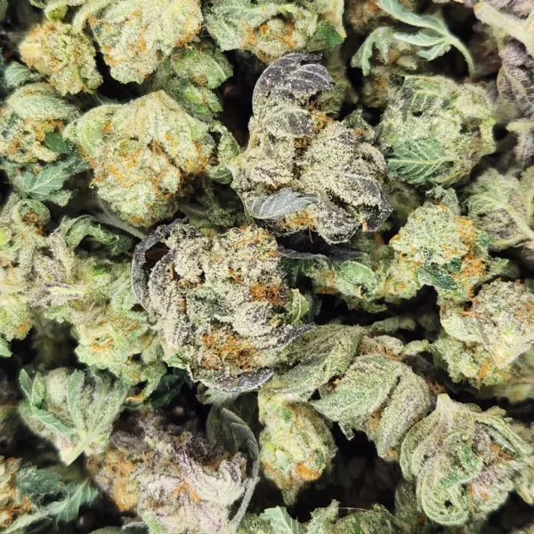 ALIEN MiNTZ - AAA - Flower