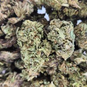 JACK THE RIPPER - AA+ - Flower
