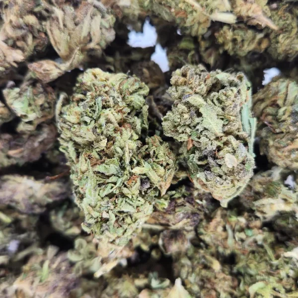 JACK THE RIPPER - AA+ - Flower