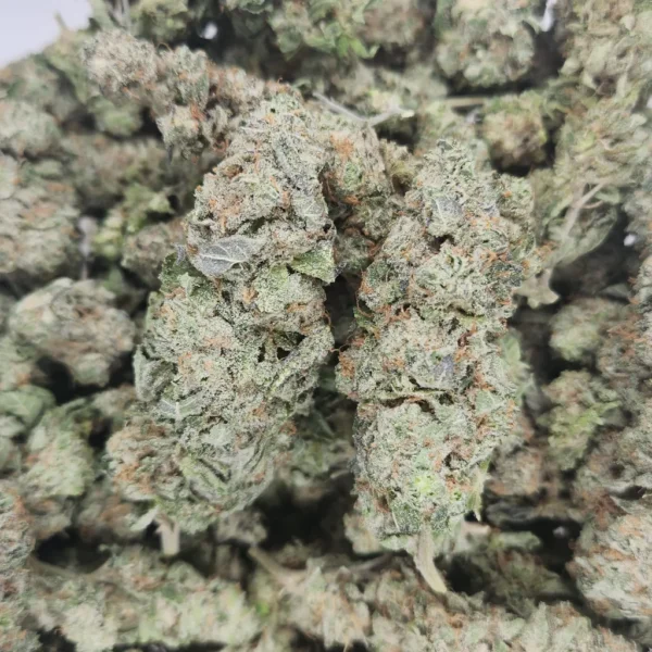 DON CANDY - AAA - Flower