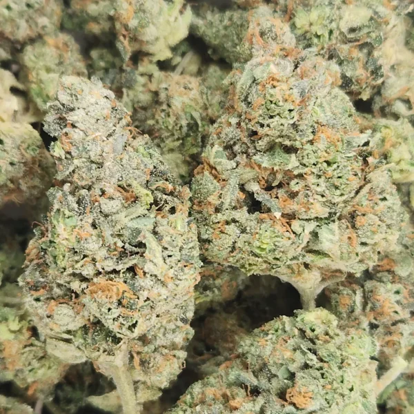 SUGARLAND KUSH - STAFF PICKS - Flower