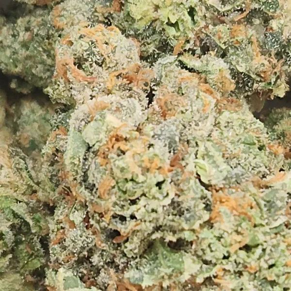 SUGARLAND KUSH - STAFF PICKS - Flower - Image 2