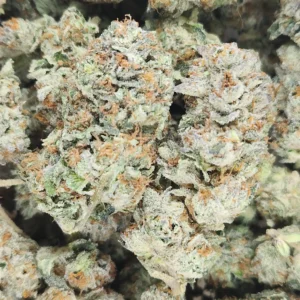 TOASTED MARSHMALLOW - STAFF PICKS - Flower