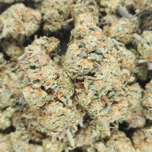 MOUNTAIN GOO - STAFF PICKS - Flower