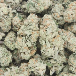 PATTIE CAKE - STAFF PICKS - Flower