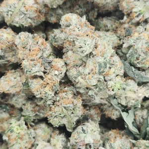 CREM PIE - STAFF PICKS - Flower