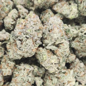 WIZ KHALIFA OG - STAFF PICKS - Flower