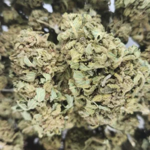BUBBLEGUM - AA+ - Flower