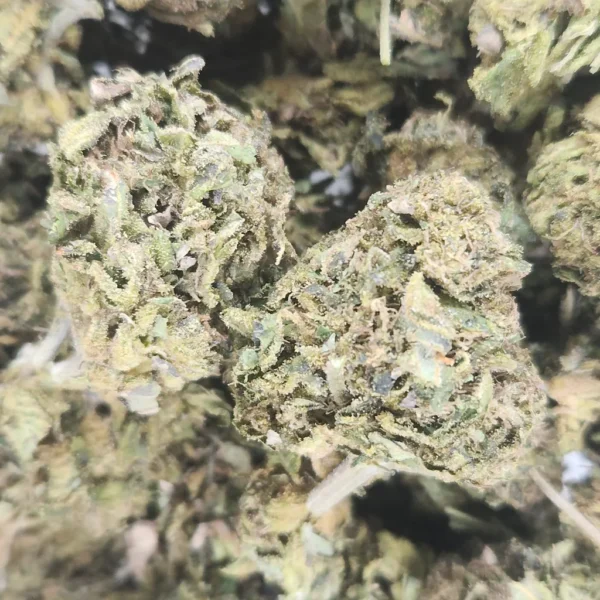 CALI KUSH - AA+ - Flower
