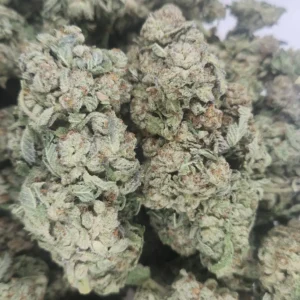MIRACLE ALIEN COOKIES - AAA - Flower