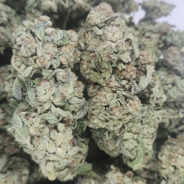 MIRACLE ALIEN COOKIES - AAA - Flower
