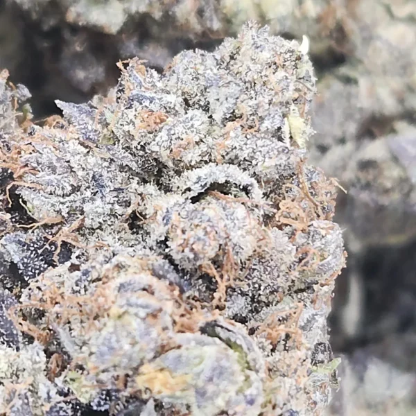 PINK FROSTY - AAAA - Flower - Image 2