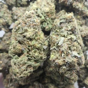 ALIEN ROCKSTAR - AAA+ - Flower