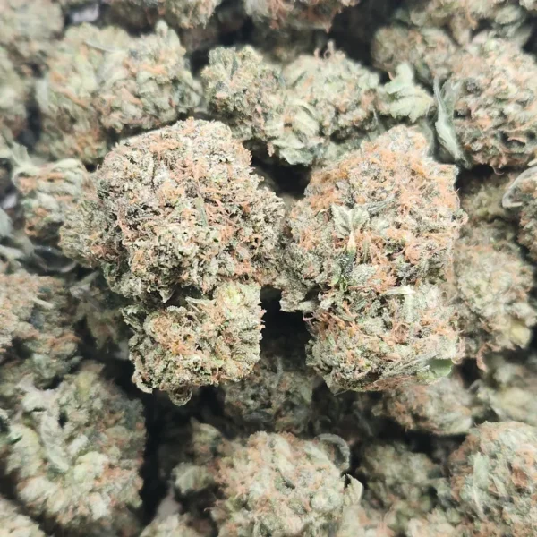 BLACK GAS - AAA (GASSY) - Flower