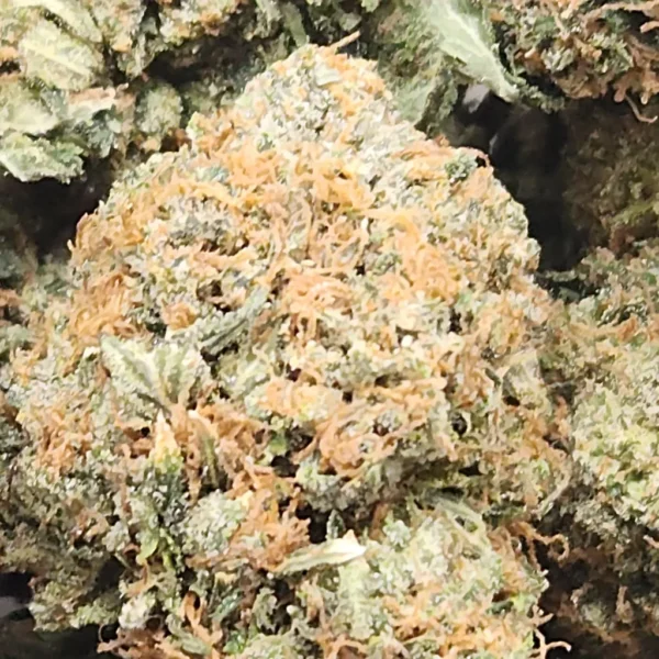 BLACK GAS - AAA (GASSY) - Flower - Image 2