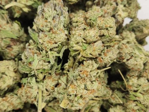 LEMON CHERRY GELTATO - AAA - Flower