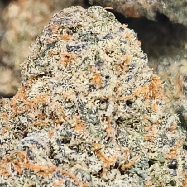 ALIEN ROCK CANDY - AAA+ - Flower - Image 2