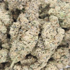 LA POP ROCKS - STAFF PICKS - Flower