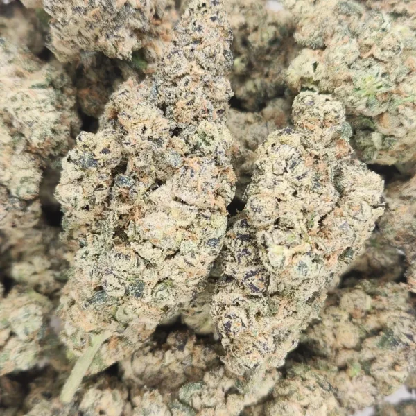 LA POP ROCKS - STAFF PICKS - Flower
