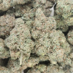 Z-ANIMAL COOKIES - STAFF PICKS - Flower