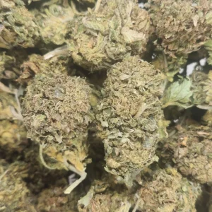 ALASKAN THUNDER FUCK - AA+ - Flower