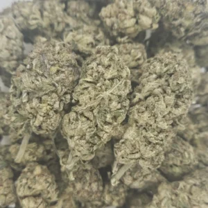 CHOCOLOPE - AAA - Flower