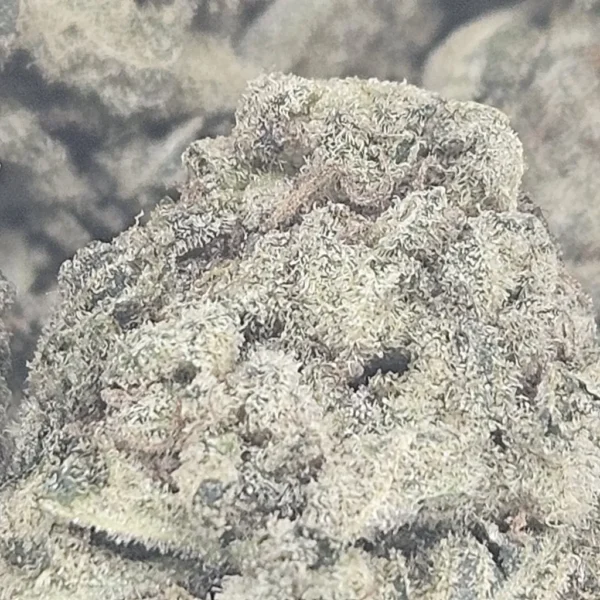 CHOCOLOPE - AAA - Flower - Image 2
