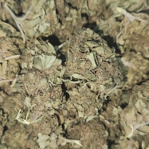 PINEAPPLE EXPRESS - AA - Flower