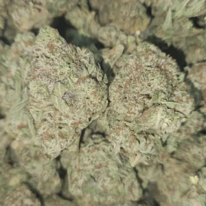 STRAWBERRY BUBBLES - STAFF PICKS - Flower